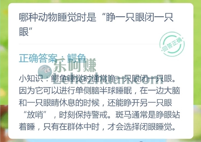哪种动物睡觉时是睁一只眼闭一只眼?