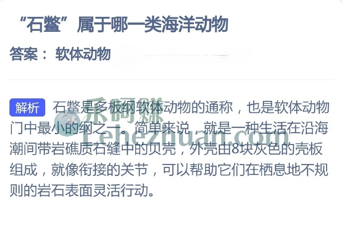 石鳖属于哪一类海洋动物?