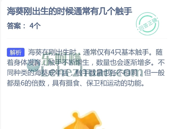 海葵刚出生的时候通常有几个触手?