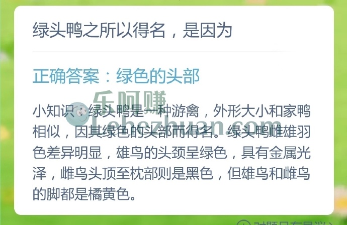绿头鸭之所以得名是因为?