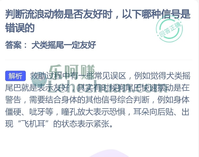 判断流浪动物是否友好时,以下哪种信号是错误的?