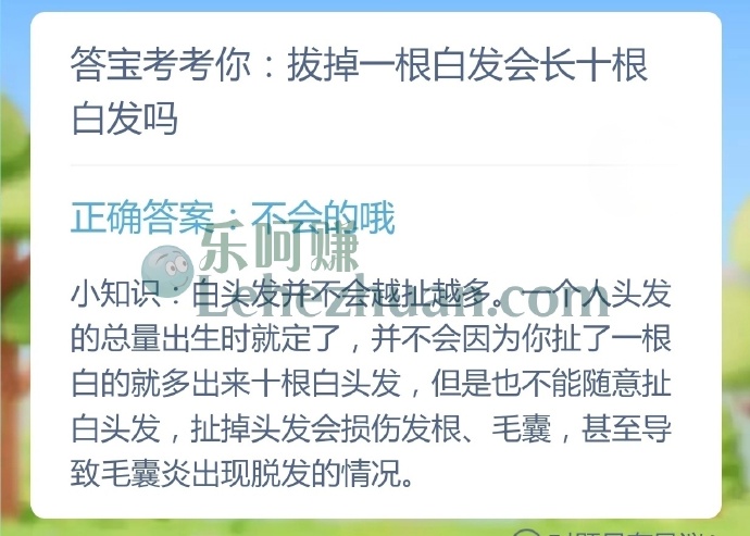 拔掉一根白发会长十根白发吗?