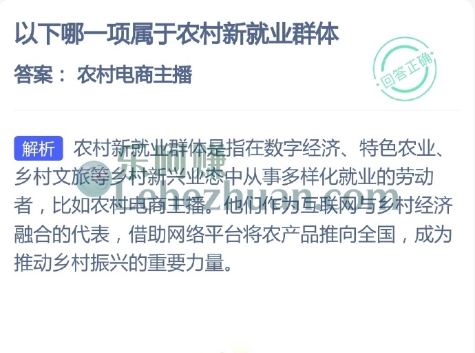 以下哪一项属于农村新就业群体?