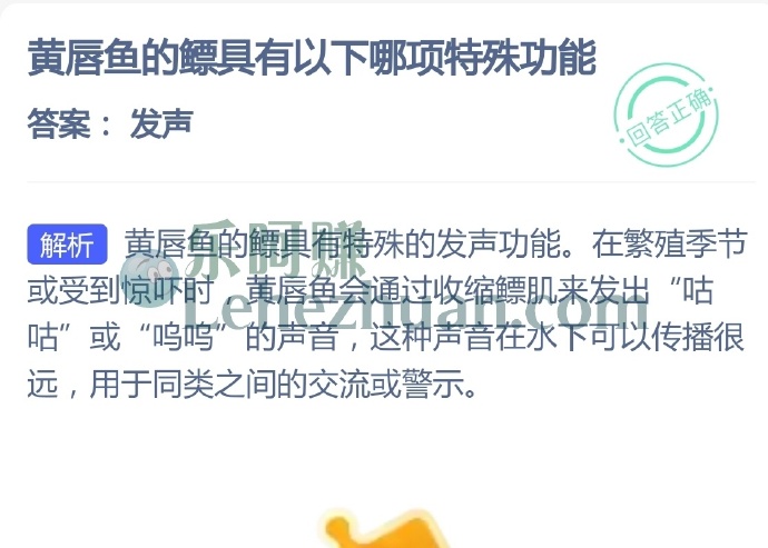 黄唇鱼的鳔具有哪项特殊功能?