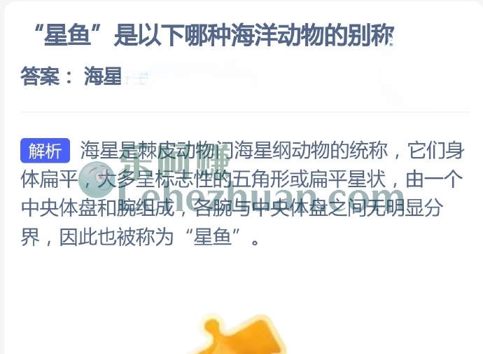 星鱼是哪种海洋动物的别称?