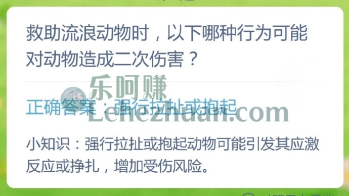 救助流浪动物时,以下哪种行为可能对动物造成二次伤害?