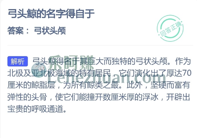 弓头鲸的名字得自于?