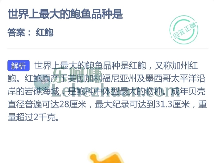 世界上最大的鲍鱼品种是?