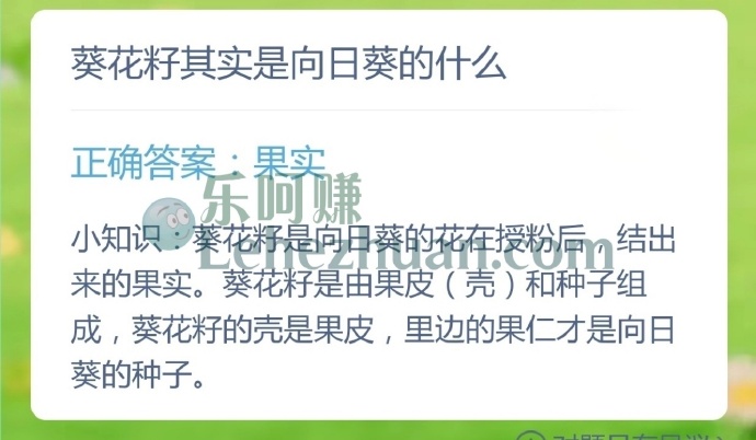 葵花籽其实是向日葵的什么?