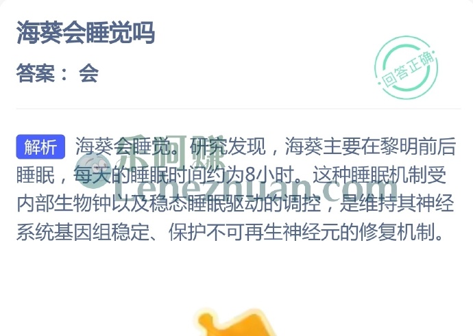 海葵会睡觉吗?