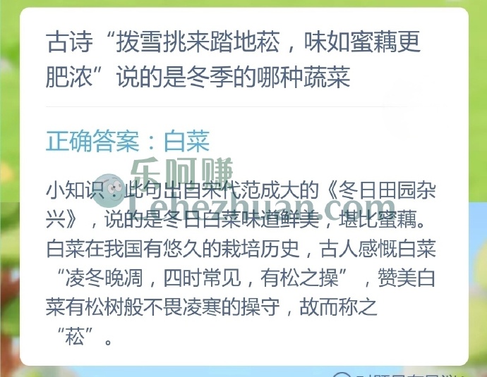 古诗拨雪挑来踏地菘,味如蜜藕更肥浓说的是冬季的哪种蔬菜?