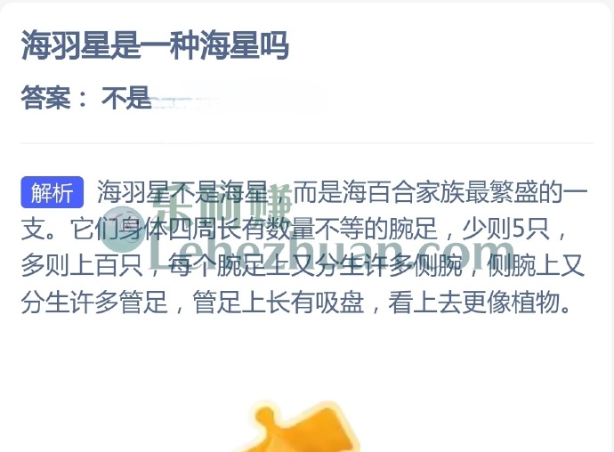 海羽星是一种海星吗?