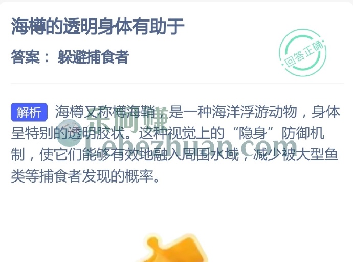 海樽的透明身体有助于?