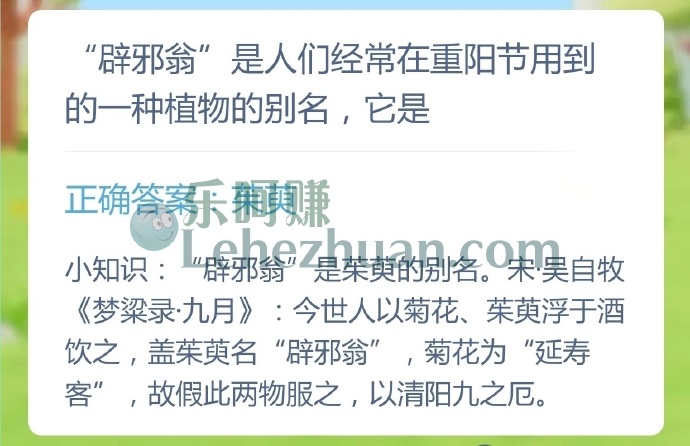 辟邪翁是人们经常在重阳节用到的一种植物的别名,它是?