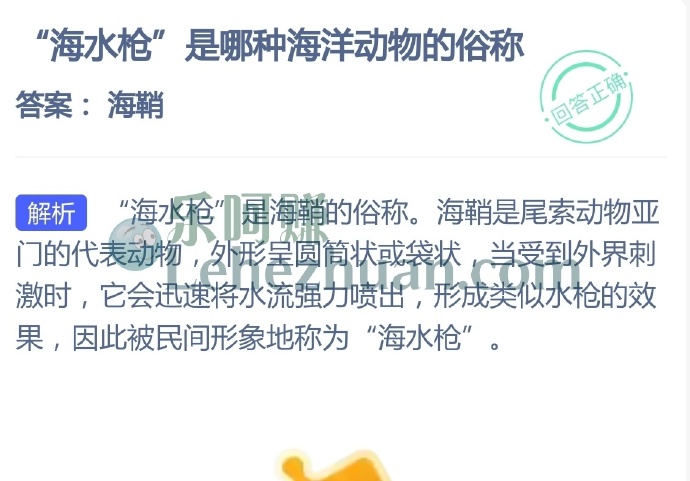 海水枪是哪种海洋动物的俗称?