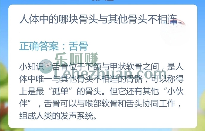 人体中的哪块骨头与其他骨头不相连?