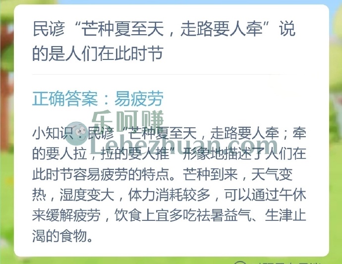 民谚芒种夏至天,走路要人牵说的是人们在此时节?