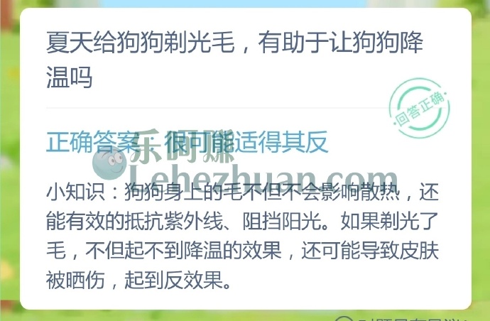 夏天给狗狗剃光毛有助于让狗狗降温吗?