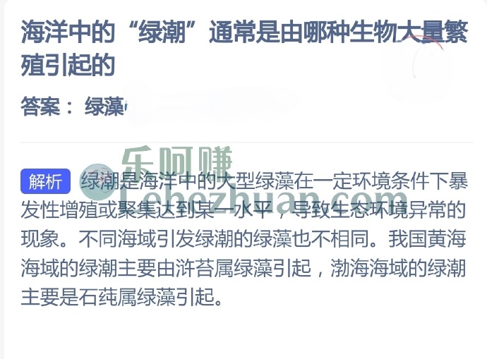 海洋中的绿潮通常是由哪种生物大量繁殖引起的?