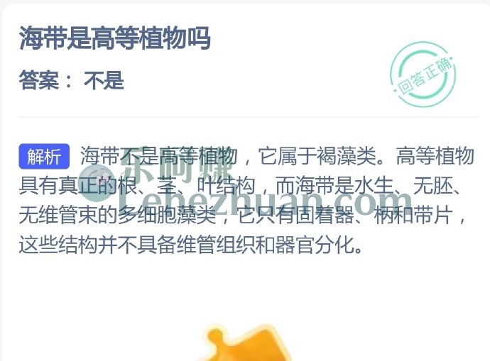 海带是高等植物吗?
