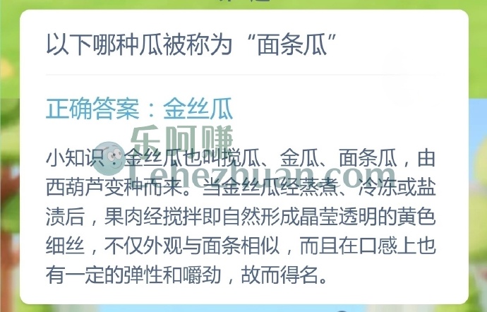 以下哪种瓜被称为面条瓜?