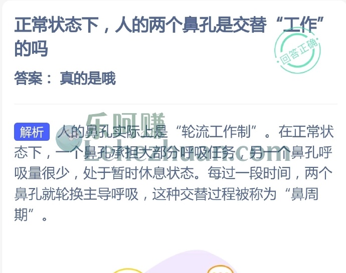 正常状态下,人的两个鼻孔是交替工作的吗?