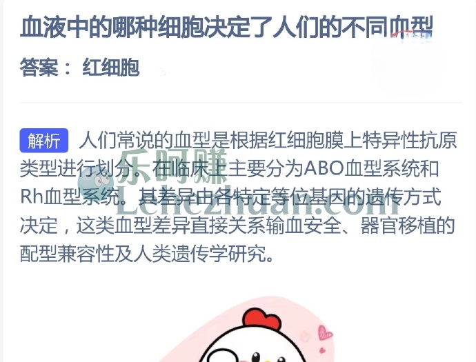 血液中的哪种细胞决定了人们的不同血型?