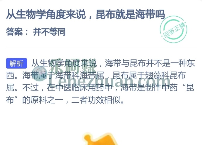 从生物学角度来说,昆布就是海带吗?