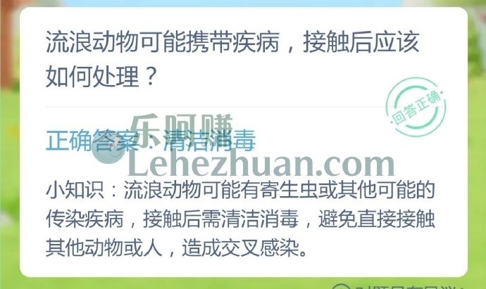 流浪动物可能携带疾病,接触后应该如何处理?