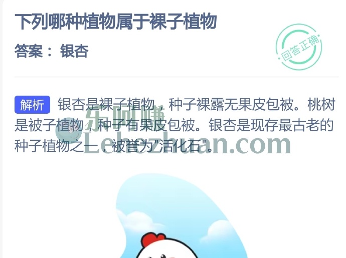 下列哪种植物属于裸子植物?