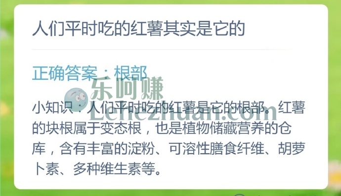 人们平时吃的红薯其实是它的?