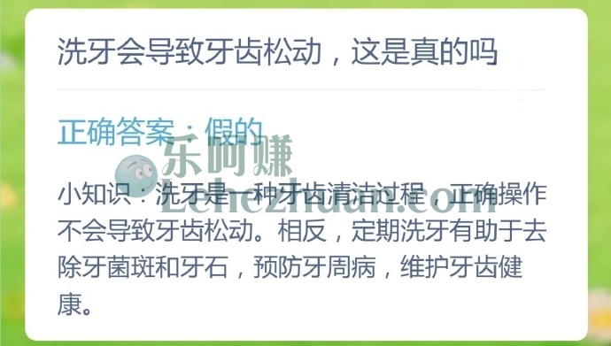 洗牙会导致牙齿松动,这是真的吗?