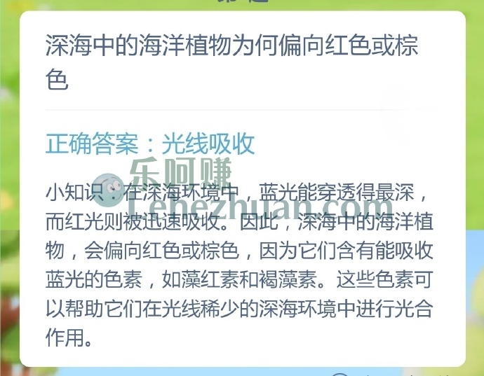 深海中的海洋植物为何偏向红色或棕色?