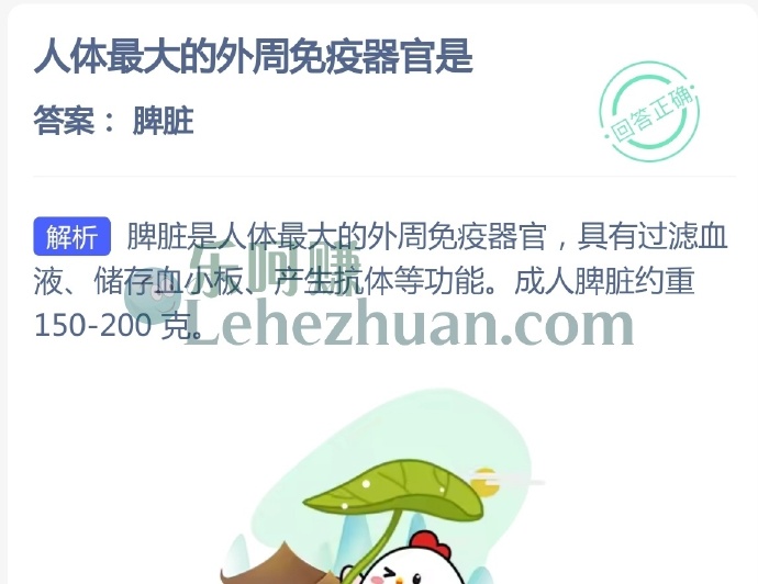 人体最大的外周免疫器官是?