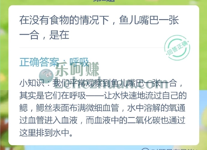 在没有食物的情况下,鱼儿嘴巴一张一合是在?