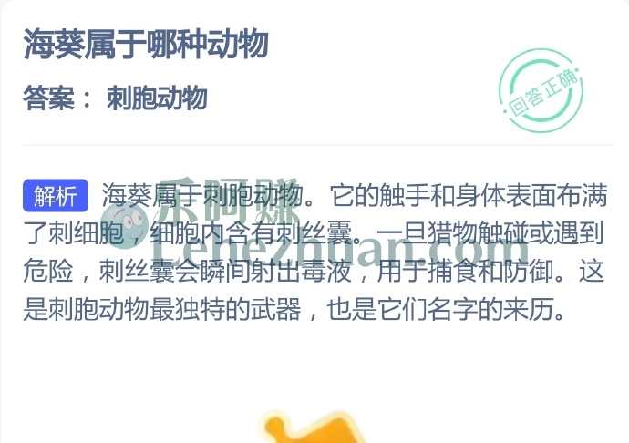 海葵属于哪种动物?