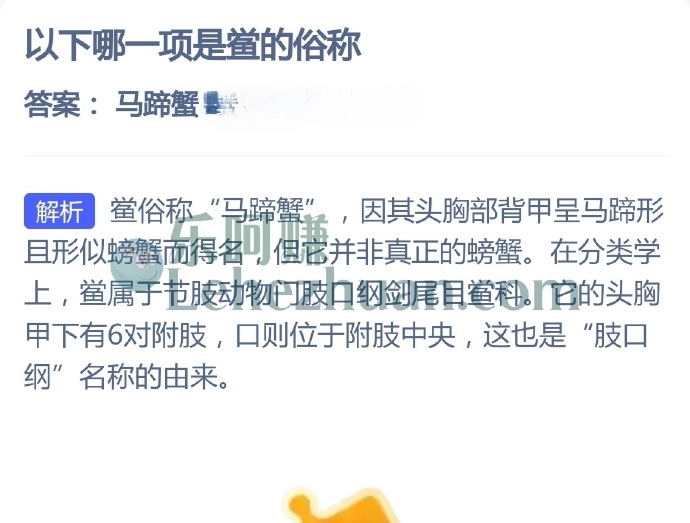 以下哪一项是鲎的俗称?