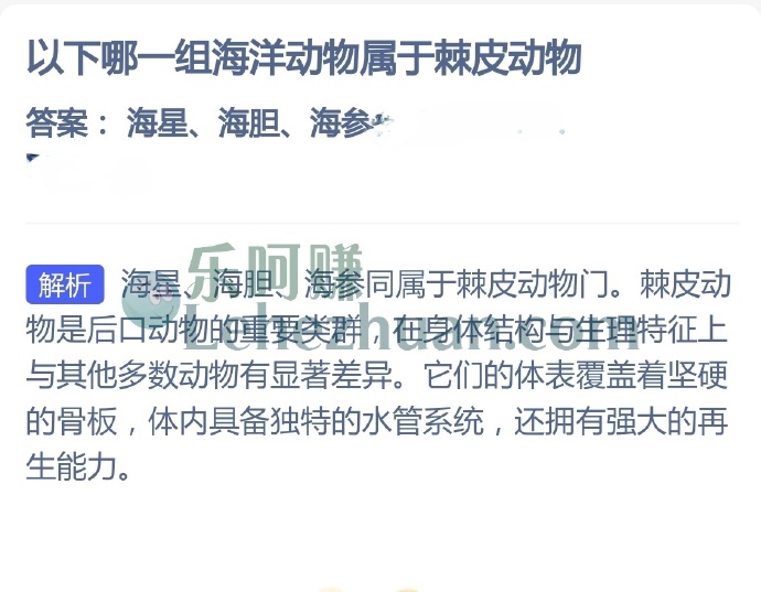 以下哪一组海洋动物属于棘皮动物?
