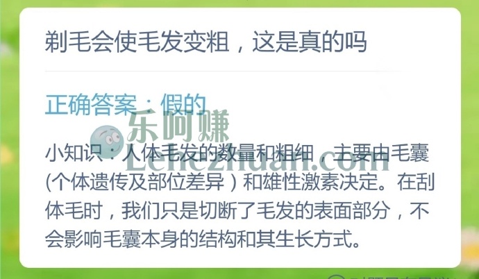剃毛会使毛发变粗,这是真的吗?