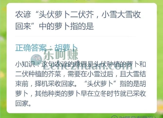 农谚头伏萝卜二伏芥,小雪大雪收回来中的萝卜指的是?