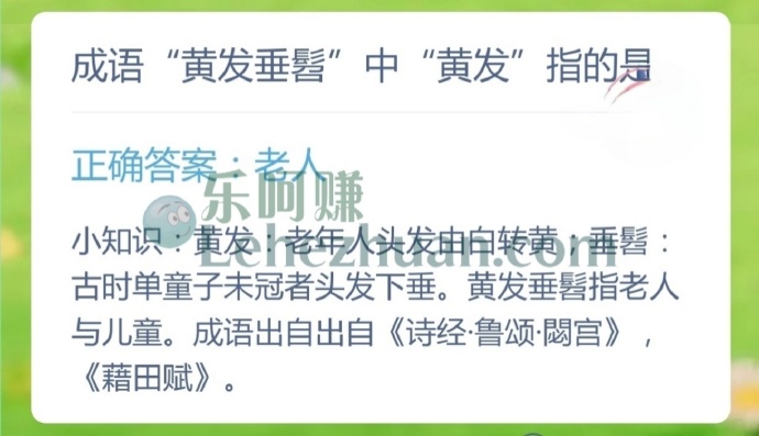 成语黄发垂髫中黄发指的是?