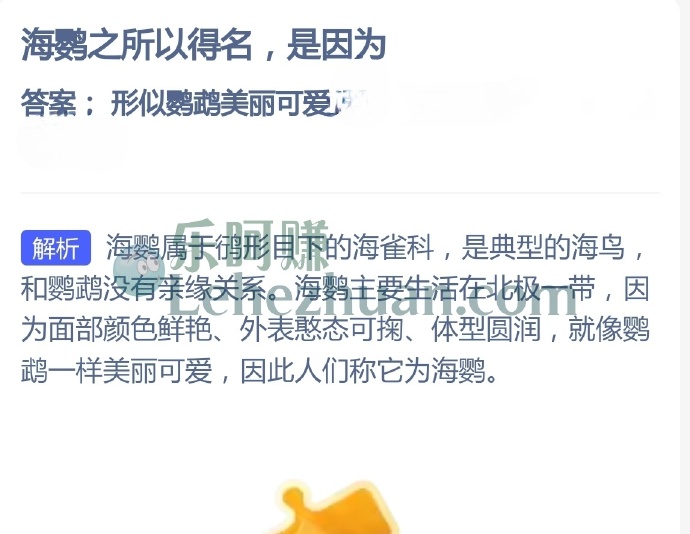 海鹦之所以得名,是因为?