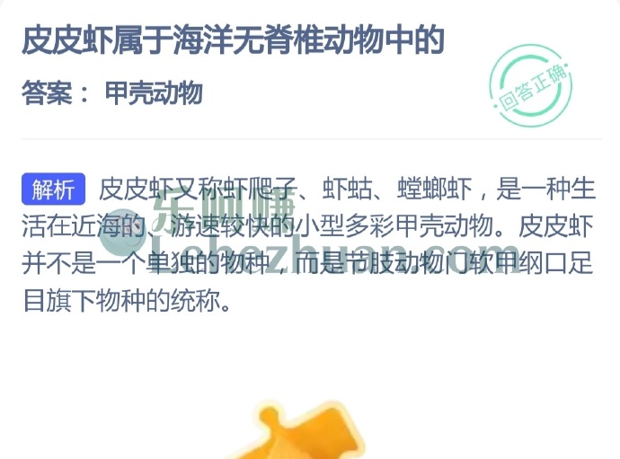 皮皮虾属于海洋无脊椎动物中的?