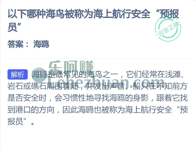 哪种海鸟被称为海上航行安全预报员?