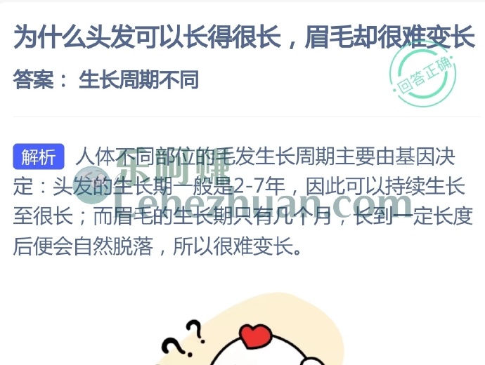 为什么头发可以长得很长,眉毛却很难变长?