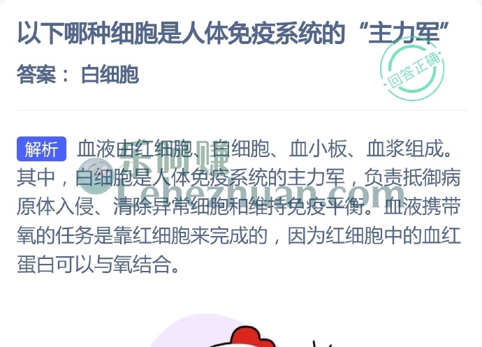 哪种细胞是人体免疫系统的主力军?