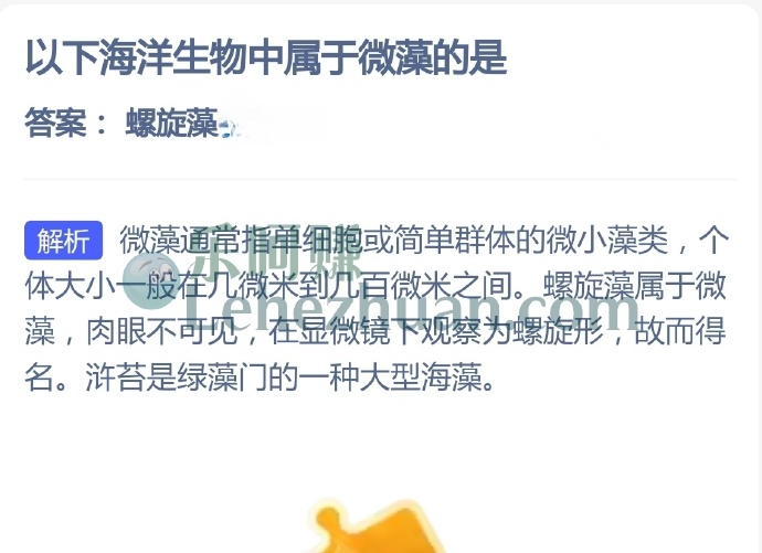 以下海洋生物中属于微藻的是?