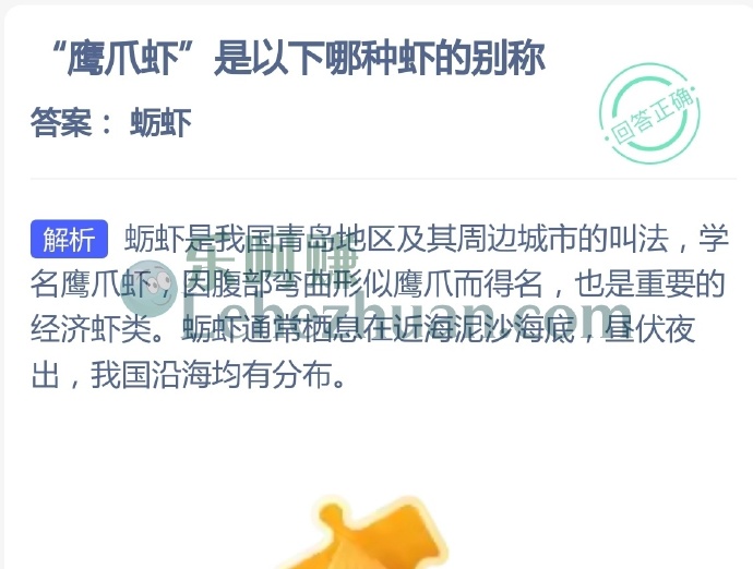 鹰爪虾是哪种虾的别称?