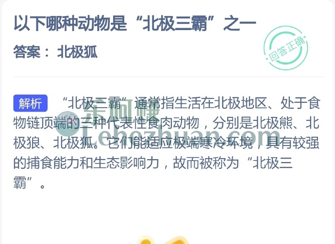 以下哪种动物是北极三霸之一?