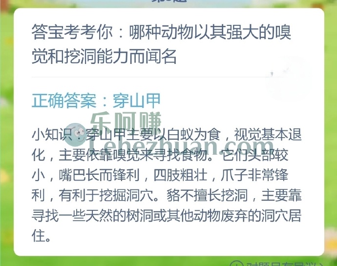 哪种动物以其强大的嗅觉和挖洞能力而闻名?